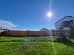 A2235981 Photo