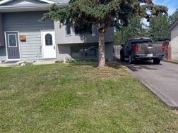 A2249994 Photo