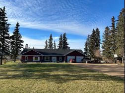 A2193290 Photo