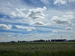A2238394 Photo