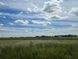 A2238397 Photo