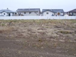 GP214483 Photo