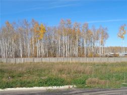 GP214486 Photo