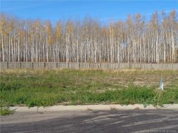 GP214490 Photo