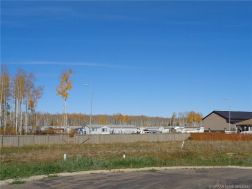 GP214484 Photo
