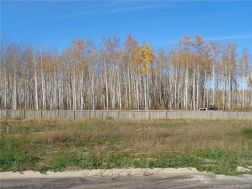 GP214488 Photo