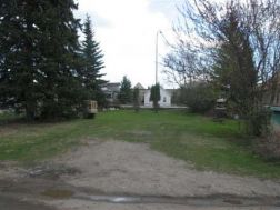 AWI17726 Photo
