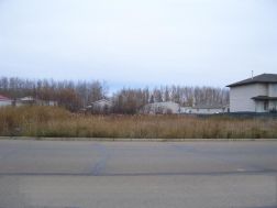 A1027569 Photo