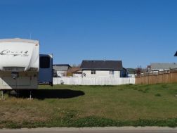 A1043545 Photo
