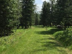 C4290335 Photo