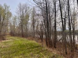 A1207517 Photo