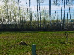 A1229218 Photo
