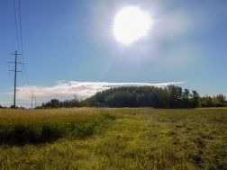 A2148364 Photo